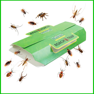 Roach Pest Control, Cockroach Traps with Bait, Sticky Paper House Roaches Captured Killer Safely  1traps