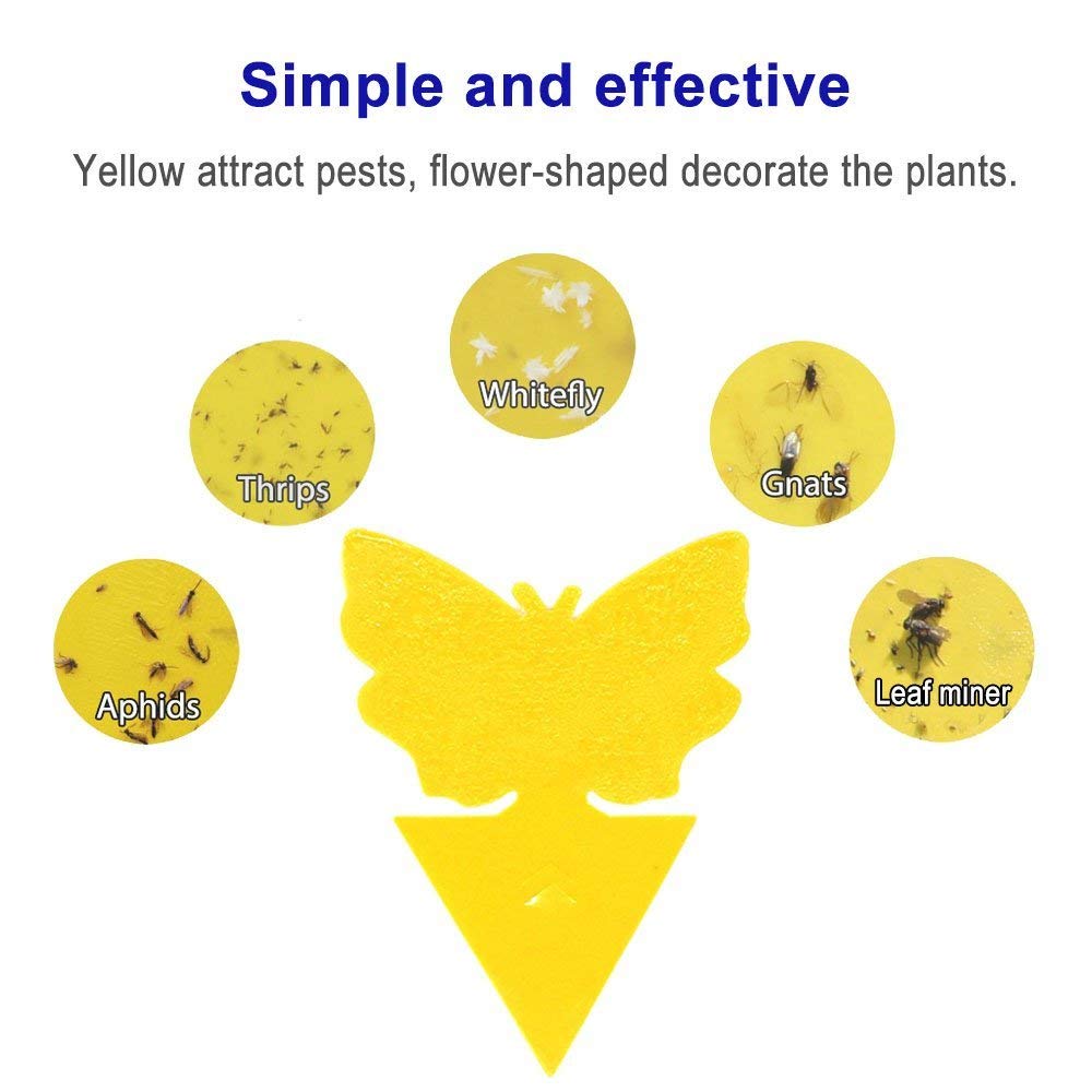 Yellow Sticky Bug Traps Sticky Fruit Fly Gnat Trap Mosquitos,Fungus Dual  Sided Glue Insect Catcher to Control Bugs Indoor Outdoor for White Flies,  Aphids and Flying Pests in Potted Plants Trap Catcher 