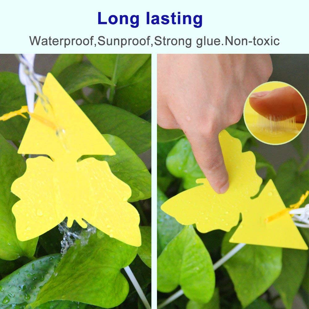 Houseplant insect trap, Dual-sided Yellow Sticky Traps for fungus gna -  HICI HOME AND GARDEN