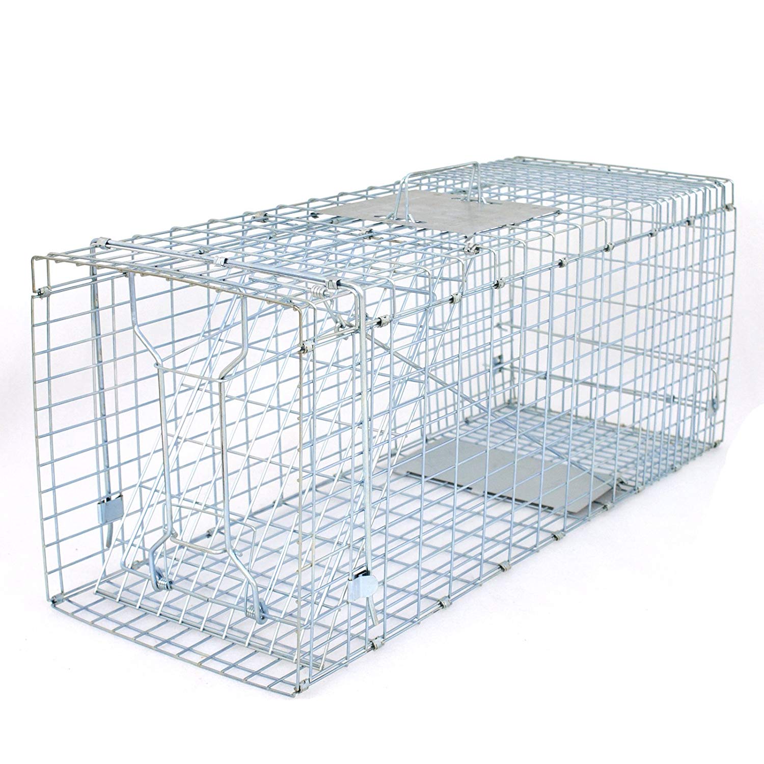Chipmunk, Squirrel Trap Cages, Rat Trap That Works, Humane Mouse Trap for  Home | Catch and Release | Reusable and Durable | No Kill Animal Trap | for