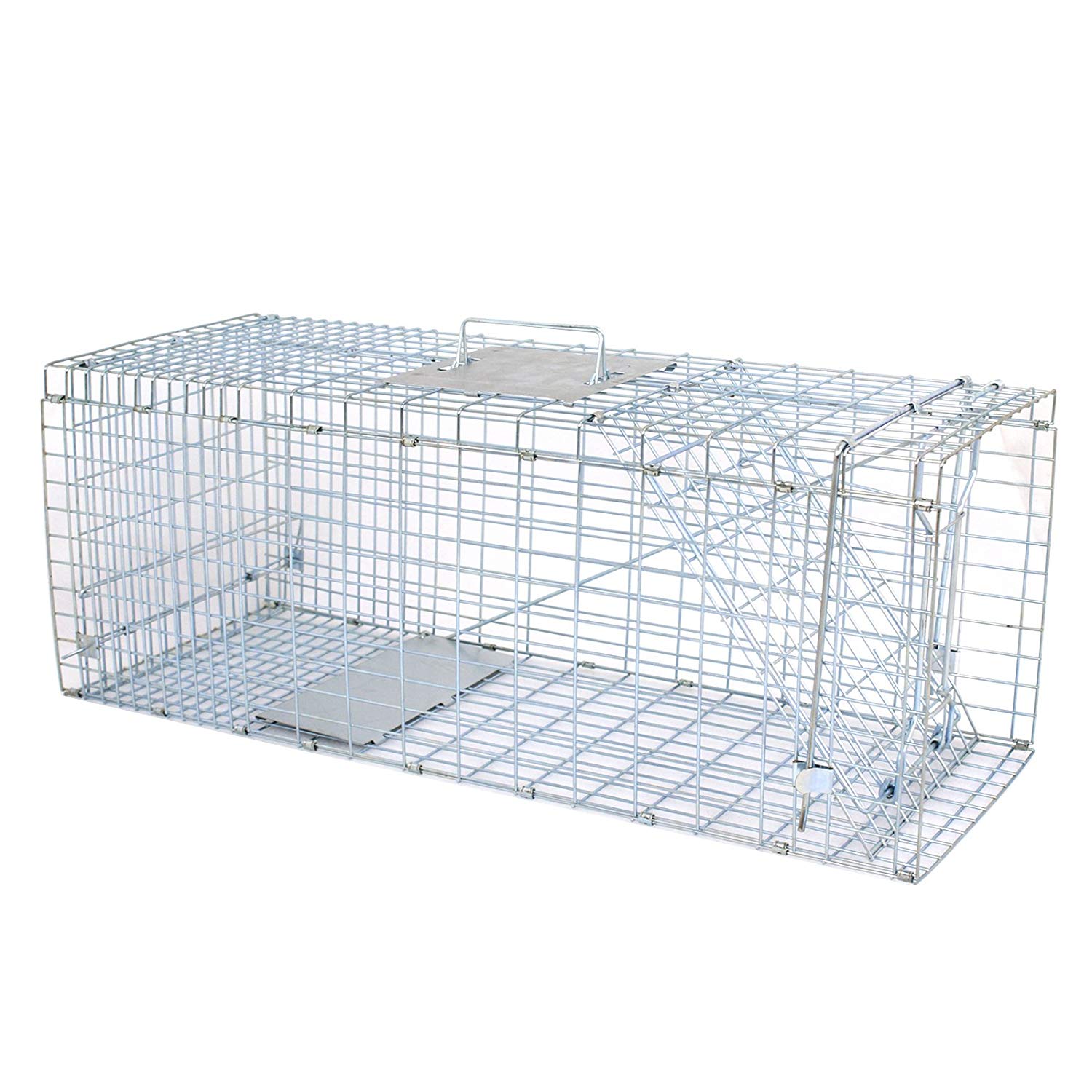 How To Set Up Animal Trap Cage - Catch Feral Cats, Raccoons, Squirrels,  other small animals! 